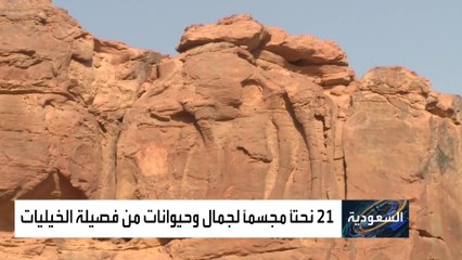 دراسة عالمية توثّق موقعا أثريا قبل 7 آلاف عام في السعودية