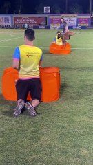 Royal the Doggo Without Training Competes in Doggy Olympics