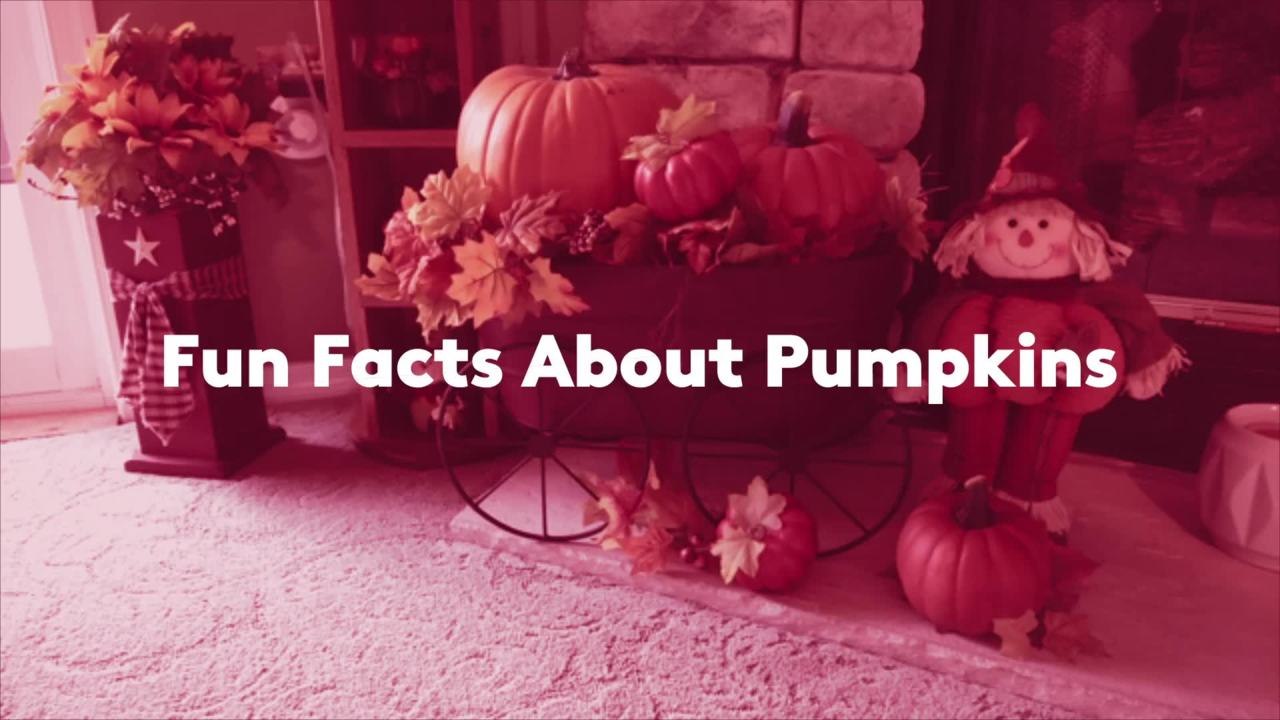 Fun Facts About Pumpkins