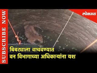 विहिरीत पडलेल्या बिबट्याला वाचवण्यात वन विभागाच्या अधिकाऱ्यांना यश |Pune