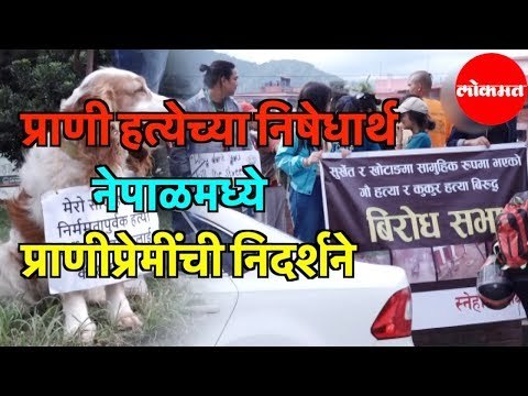 प्राणी हत्येच्या निषेधार्थ Animal Lovers निदर्शने | Nepal
