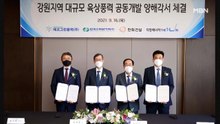 한수원, 강원 양양·영월에 대규모 풍력발전 추진