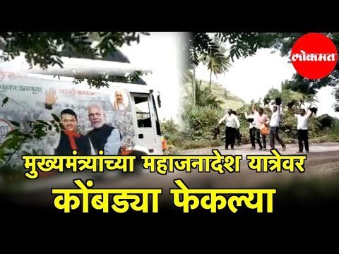 CM Devendra Fadnavis | 'Maha Janadesh Yatra' वर कडकनाथ कोंबड्या फेकल्या | Islampur