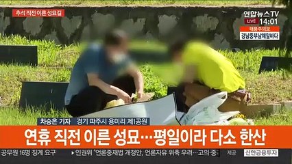 "평온한 가족의 품"…추석 앞두고 이른 성묘