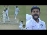 Vizag विजय की कहानी Rohit, Shami, Jadeja रहे तूफानी India Vs South Africa, 1st Test Highlights