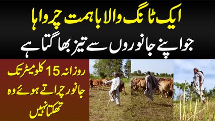 Ek Tang Se Mazoor Charwaha Jo Janwaro Se Bhi Tez Bhagta Hai - Daily 15 Km Chalte Nahi Thakta