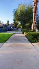 Top Trending   The Best TikTok Videos Compilation - Ep. #37