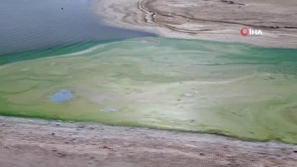 Sular çekildi, Atatürk Barajı yeşile büründü