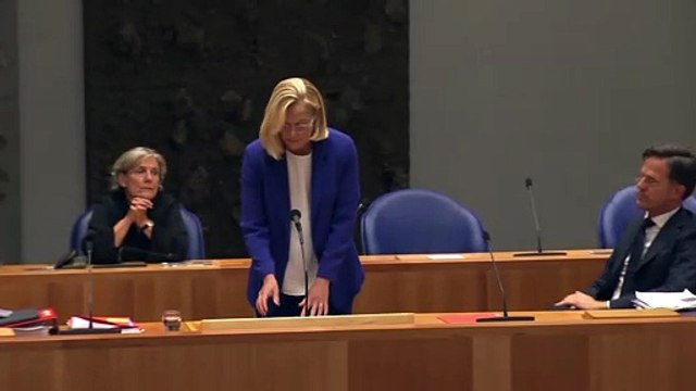 Отставка главы МИД Нидерландов