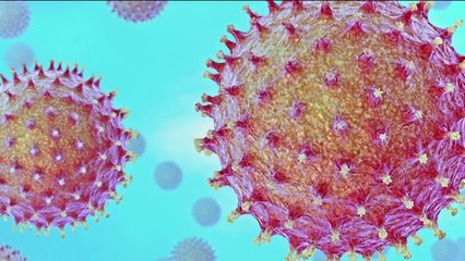 Santé - Le vaccin contre la grippe pour le cœur !