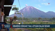 Gunung Semeru Keluarkan Lava Pijar6 KaliDisertai 7 Letusan dalam Sehari