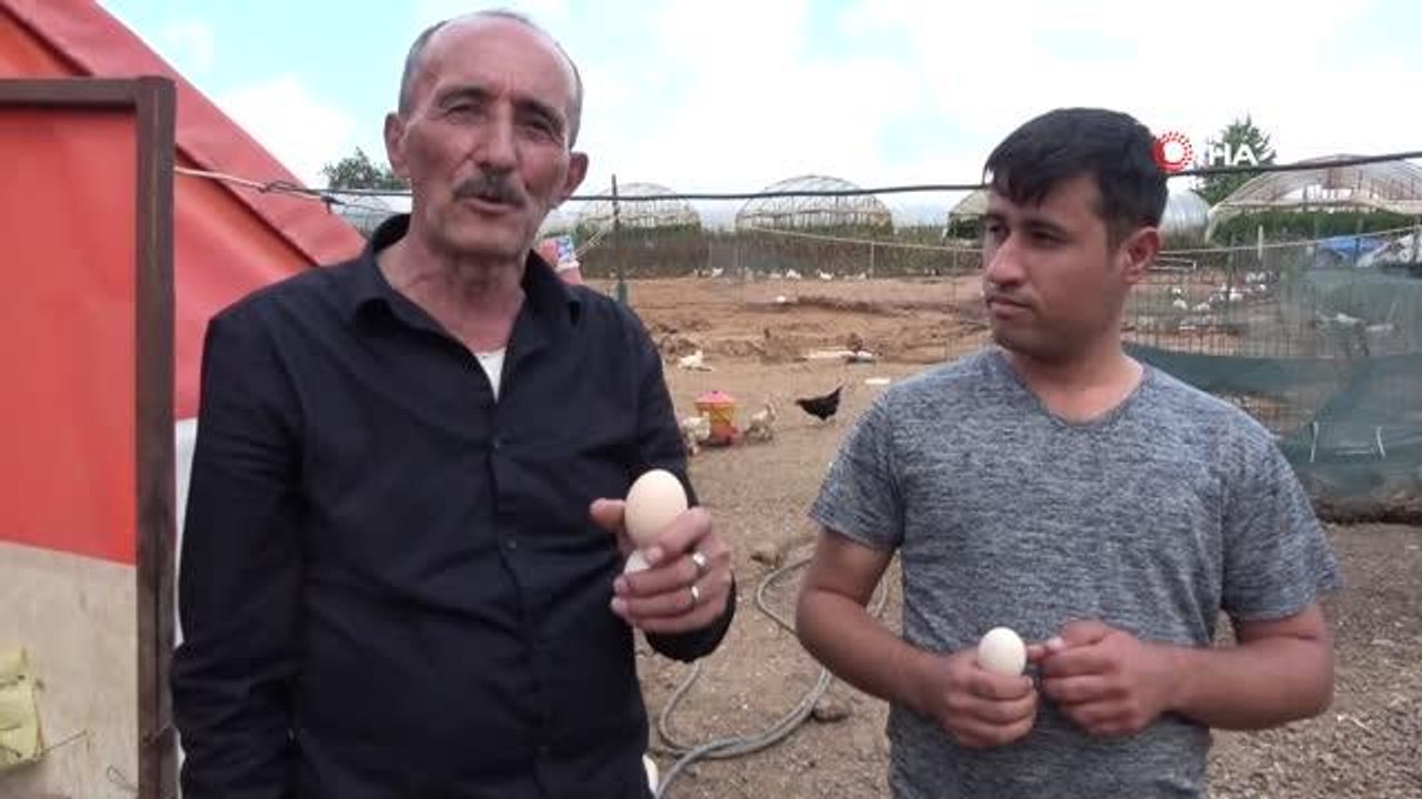 Yumurtanın tazeliğini saptamak için 55 yıllık ustadan görülmemiş 'dönme' yöntemi