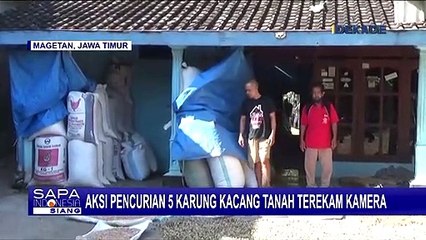 Aksi Santai Maling Gasak 5 Karung Kacang Tanah, Pemilik Baru Sadar Esok Harinya