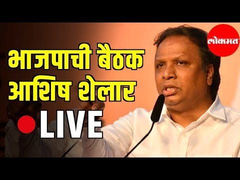 Ashish Shelar | BJP Core Committee Meeting | आशिष शेलार यांची पत्रकार परिषद | BJP | Mumbai News
