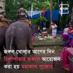 Elephants Got Angry Due To Lack Of Worship In Chilapata Mahakal Temple