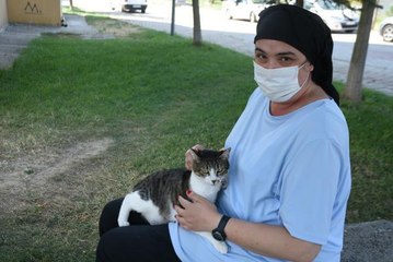 SİTEDE 'KAYIP KEDİ' İDDİASI, TARAFLARI MAHKEMELİK ETTİ