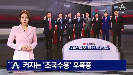 커지는 ‘조국수홍’ 후폭풍…국민의힘 지지층서 비판