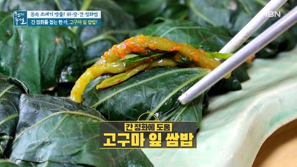 간 정화 돕는 한 끼 [고구마 잎 쌈밥]