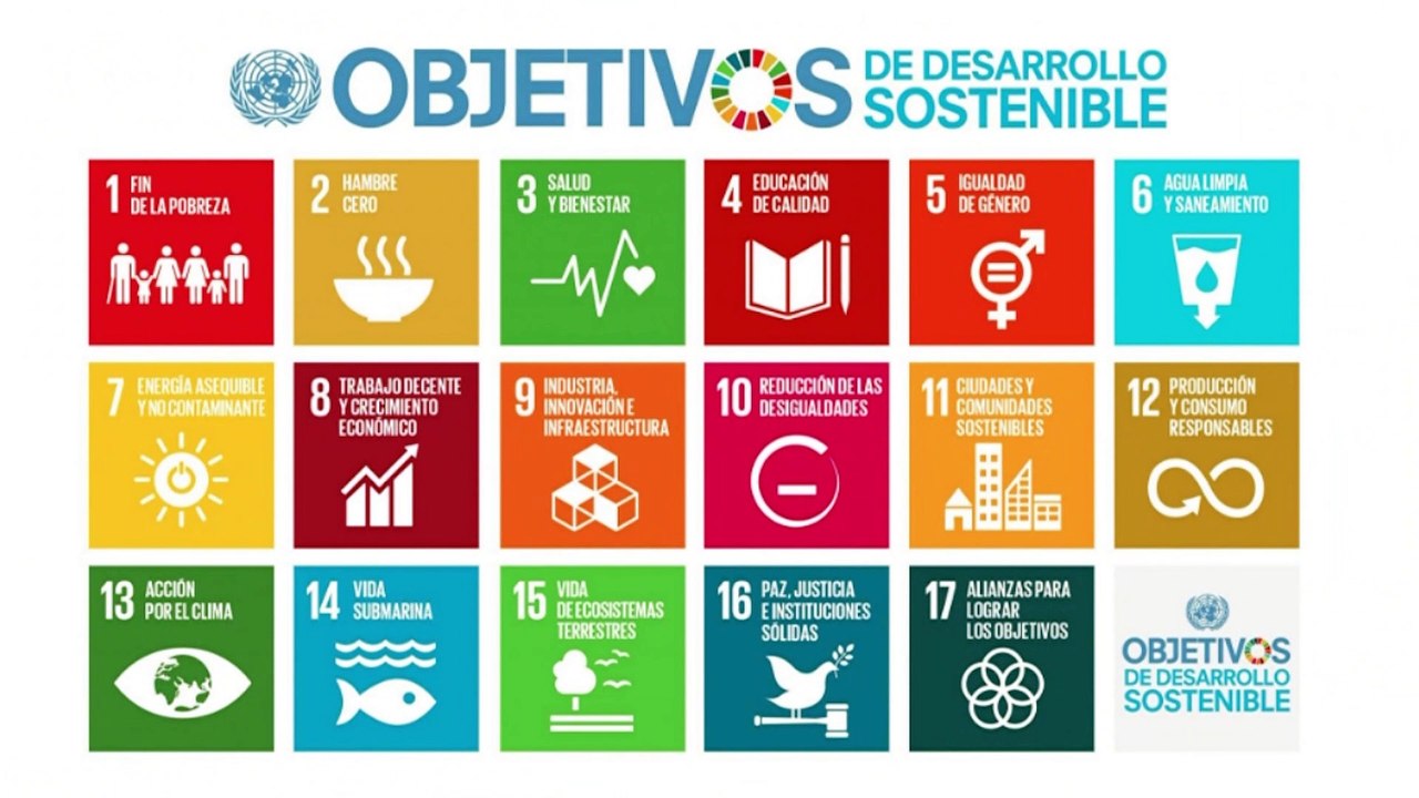 Laura Reboul: "Cualquier persona que toma una acción para frenar la locura en la que vivimos, puede considerarse activista