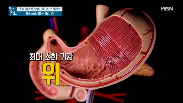위 정화 돕는 특별한 영양소에 주목하라!