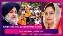 Sukhbir Singh Badal And Harsimrat Kaur Badal Detained In Delhi Over Anti-Farm Laws Protest