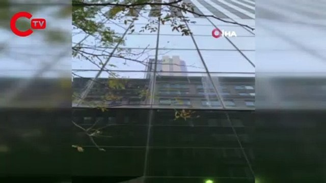 Yüzlerce kuş Dünya Ticaret Merkezi kulelerine çarptı