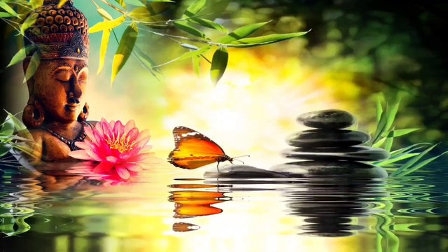 Buddha Love Music ● Zen, Spa, Healing, Calm, Relaxing, Sleeping Music ● Stress Relief Music by Amcas Relax Music