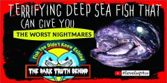 Disturbing Facts About Fish|Facts Change Your Thinking About Fish|Facts & Features May Surprise You