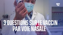 Fonctionnement, efficacité, date de commercialisation: trois questions sur le vaccin par voie nasale