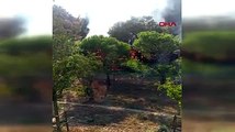 Altunizade'de ağaçlık alanda yangın