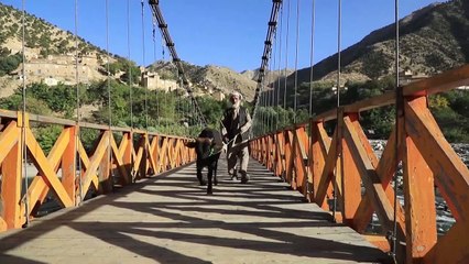 كيف سقط وادي بانشير في أيدي طالبان؟