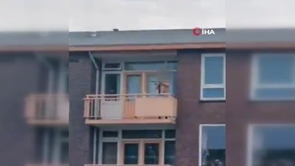 Hollanda'da oklu saldırı dehşeti