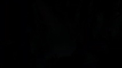 New World : trailer de la bêta ouverte