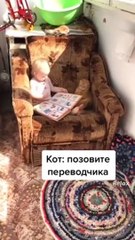 Скачать видео: Ce bébé et ce chat sont meilleurs amis... trop mignon