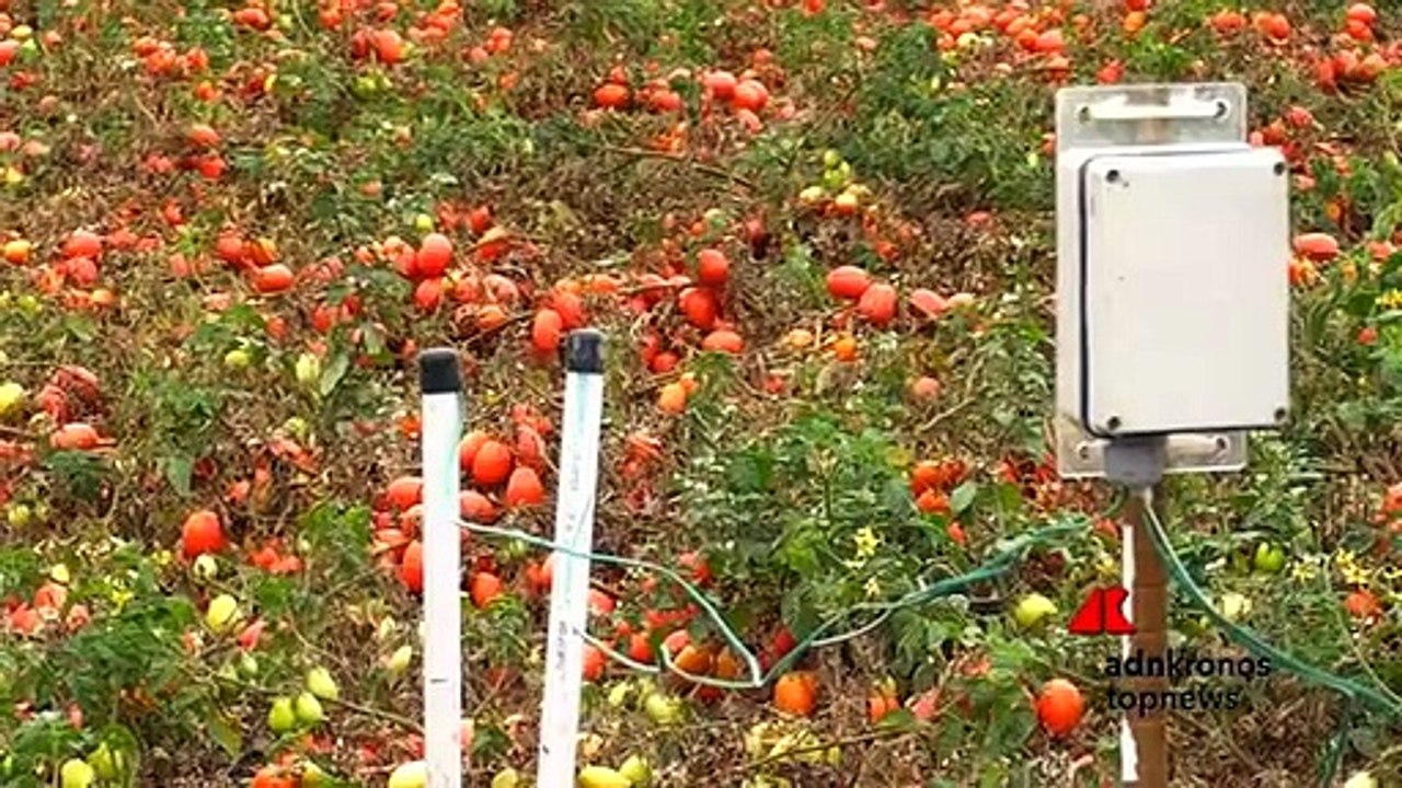 Agricoltura rigenerativa: meno acqua e maggiore produttività