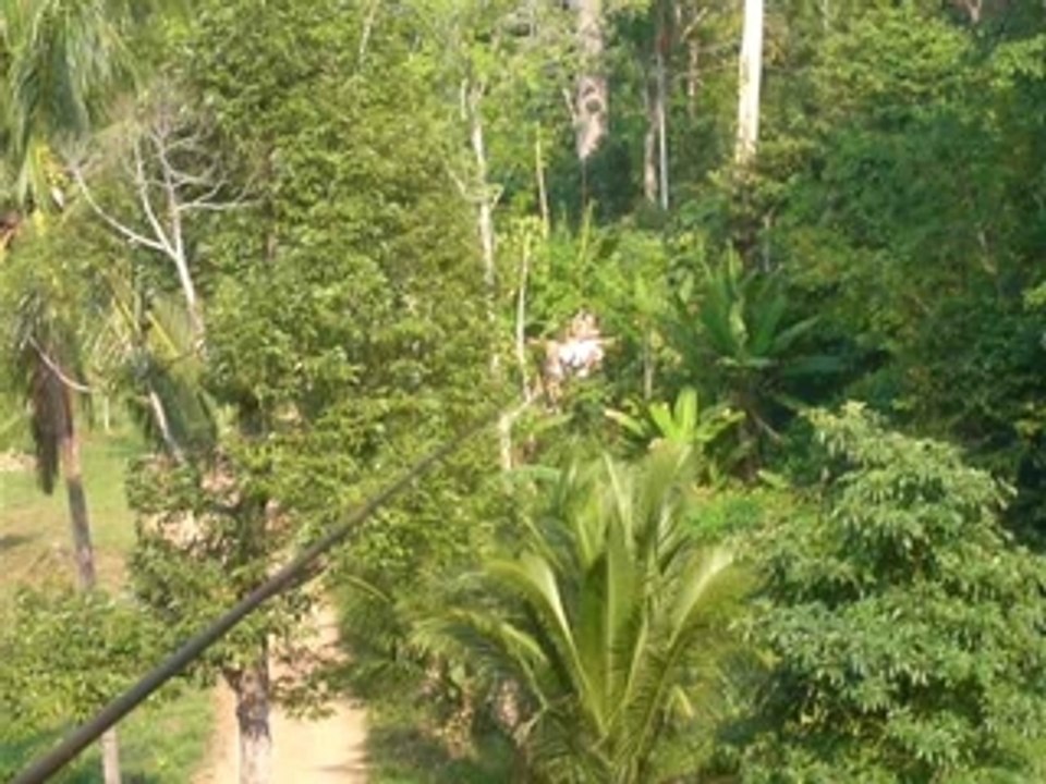 accrobranche ko chang !!!
