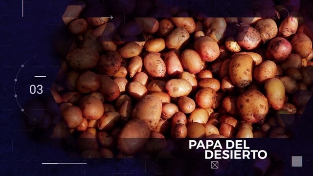 Reporte Climático 07 | Periodismo y cambio climático