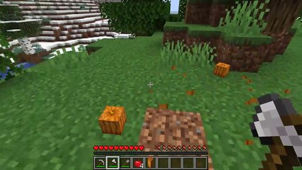 Minecraft wait what meme  (emerald diamond)