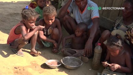 Conozca por qué el hambre registra su mayor aumento en décadas a nivel global