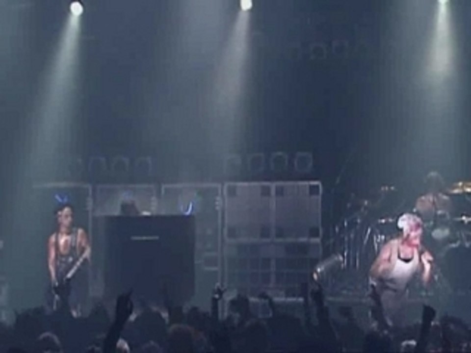 Rammstein - Rosenrot Limited Edition