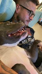 Needy Dog Whines for Kisses