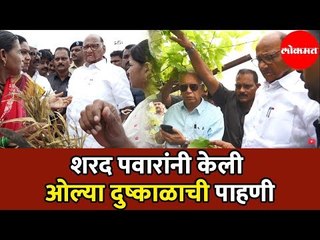 Sharad Pawar |  पवारांनी पावसाने नुकसान झालेल्या द्राक्ष पिकाची केली पाहणी | Igatpuri