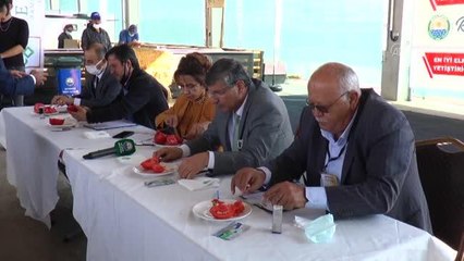 Gölbaşı'nda "En güzel elma ve domates yetiştiricisi" yarışması düzenlendi