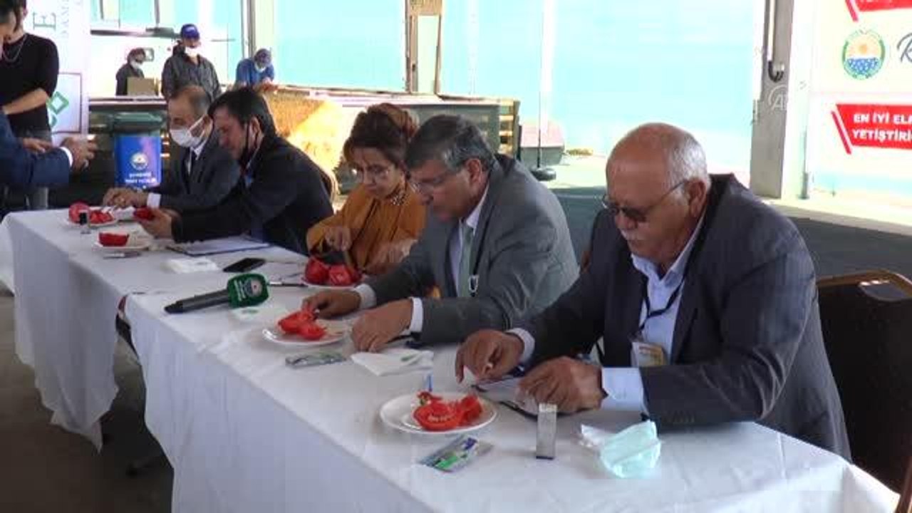 Gölbaşı'nda "En güzel elma ve domates yetiştiricisi" yarışması düzenlendi