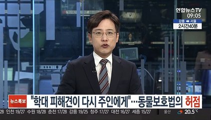 "학대 피해견이 다시 주인에게"…동물보호법의 허점