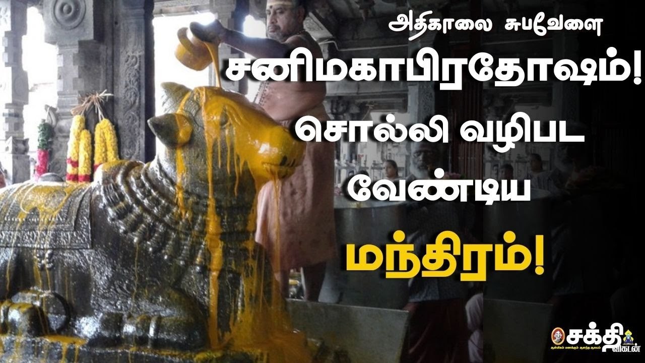 தவற விடக்கூடாத மகாபிரதோஷம் |  கட்டாயம் சொல்லிவழிபட வேண்டிய சிவ நாமம் | Sakthi Vikatan | Pradosham