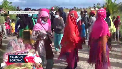 Pengelolah Mangrove Di Sorong Diberikan Upah, Bantu Pemulihan Ekonomi
