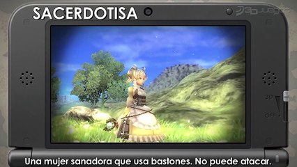 Fire Emblem Awakening: Clases de Personajes