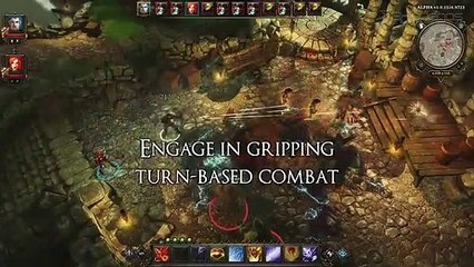 Divinity Original Sin: Early Access