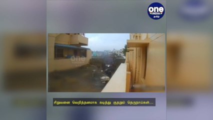 திருப்பூர்: சிறுவனை வெறித்தனமாக கடித்து குதறும் தெருநாய்கள்… பதைபதைக்க வைக்கும் சிசிடிவி காட்சி